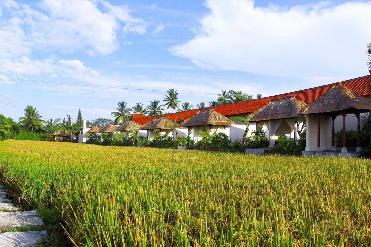 Alam Puisi Villa Ubud Exteriér fotografie